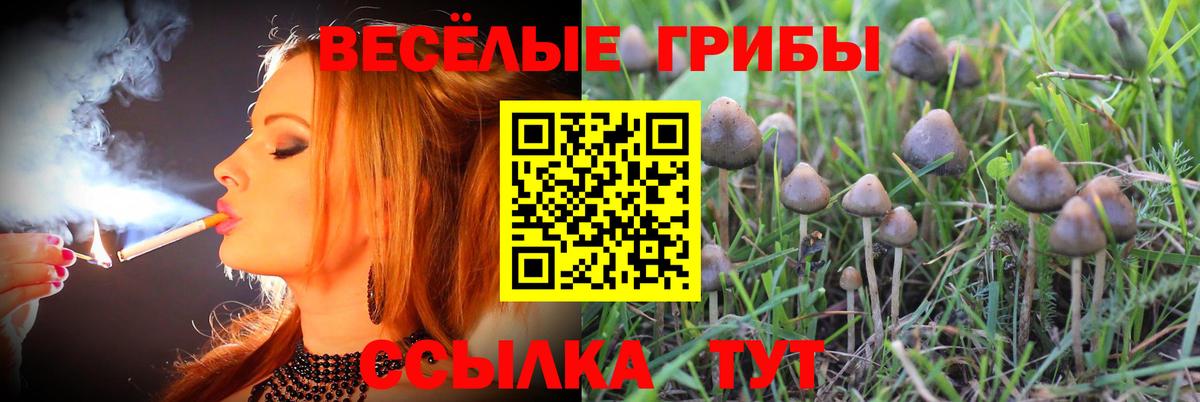 Галлюциногенные грибы мухоморы Углич
